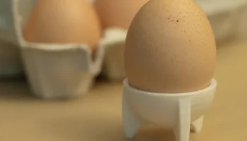 чашка для ракетного яйца