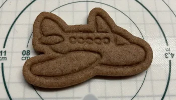Aircraft cookie cutter 1