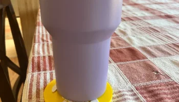 Черепаховые горки 1