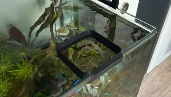 Кормушка для кормления аквариумных рыбок....