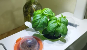Сменный горшок Click and Grow Smart Garden Сменный горшок Click and Grow Smart Garden