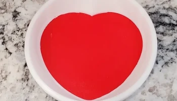 Ring Dish 1