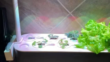 Держатель купольной крышки для Click and Grow Smart Gard... 4