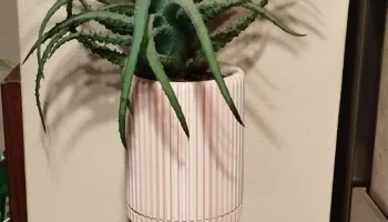 Cute Vase