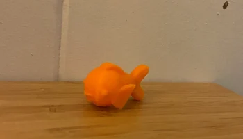 Gold Fish 1