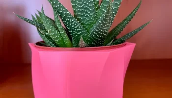 Ваза для Ikea Succulent Gasteria 2