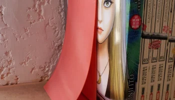 Режим вазы с подставкой для книг 1