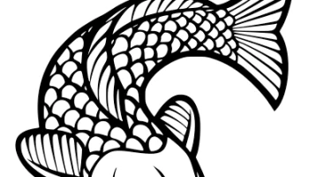 Koi 1