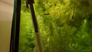 Зажим для аквариумного обогревателя 2
