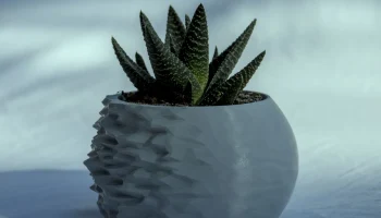 Jens pot