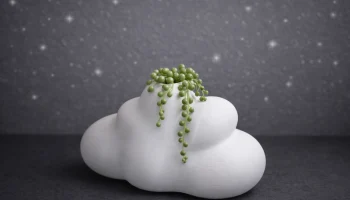 Cloud Vase - современный минималистичный кашпо, напечатан... 2
