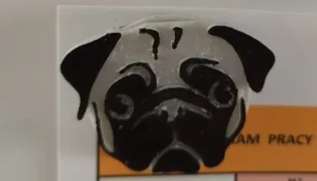 Pug magnet