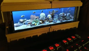The Rockpiquarium