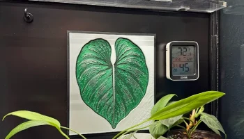 Ikea Greenhouse - Wall Art - 3D Картина - Филодендон - Ру...