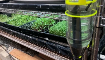 Мини-вихревой фильтр Aquaponic (или стандартный фильтр) Мини-вихревой фильтр Aquaponic (или стандартный фильтр)
