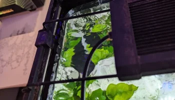 Фильтр для аквариума с водопадом
