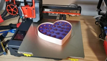Сердце из мыльницы для кошек