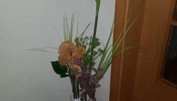 деко ваза из рога 1
