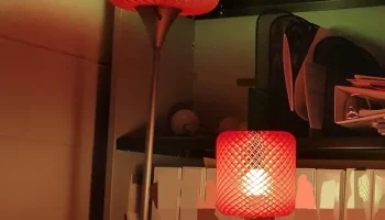 ГлавнаяПод ваза