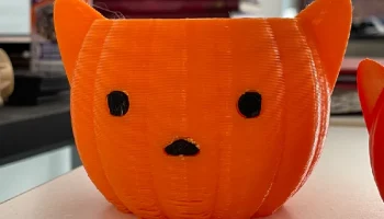 Контейнер для тыквы-кошки 5