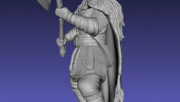 viking 2