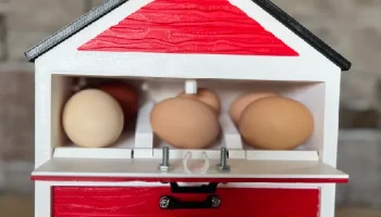 (12 яиц) Настольный держатель для яиц для курятника 7