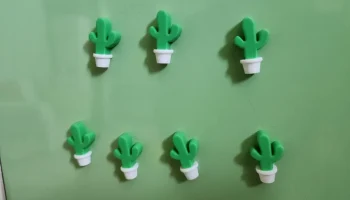 Магнит Кактус 6х3