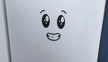 Антон Магнит Лицо