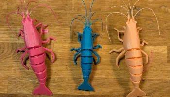 3D модель подвижной креветки 3