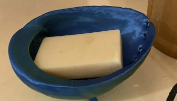 Мыльница из ракушек морского ушка/миска из ракушек Пауа 1