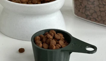 ParaCup (Параметрический кубок) любого размера. 4