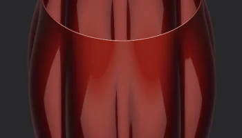Vase v5