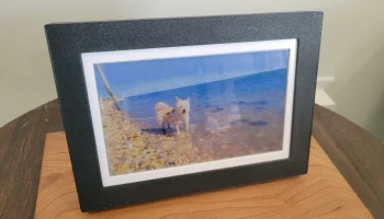 Рамка Waveshare e-ink ESP32 S3 PhotoPainter Рамка Waveshare e-ink ESP32 S3 PhotoPainter