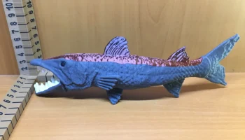 Barracuda 4