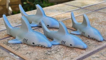 Shark