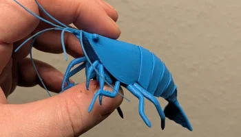 3D модель подвижной креветки 1