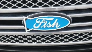 Замена передней эмблемы Ford Fish