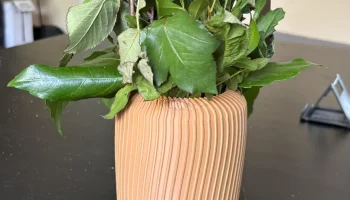 Small Vase