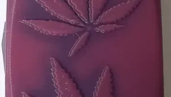 БЕСПЛАТНЫЙ корпус 420 bic!