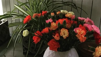 Ваза Ананас двойная парой 1
