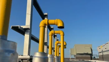 Фитинги NPT с сеткой Фитинги NPT с сеткой