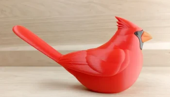Сидящий Северный кардинал