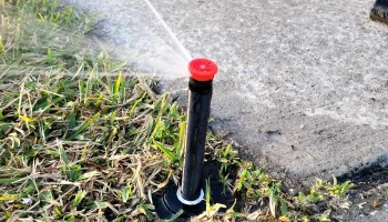 Выдвижной разбрызгиватель Hunter / Rainbird Выдвижной разбрызгиватель Hunter / Rainbird