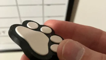 Магнит с принтом кошачьей лапы 1