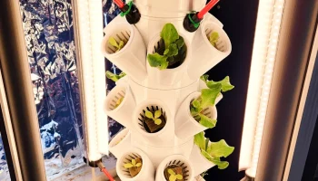Держатели ламп для выращивания Barrina T8 для Hydroponic...