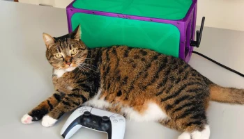 Корпус для ПК CATBOX ITX 1