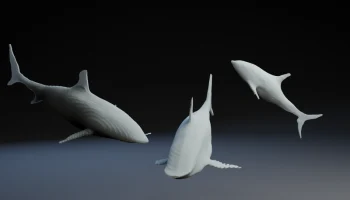 OpenAi Shap-e Текст в Shark OpenAi Shap-e Текст в Shark