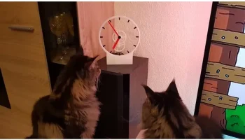 Hollow Clock Remix использует интернет-время с ESP8266 2