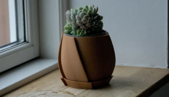 Pot 21