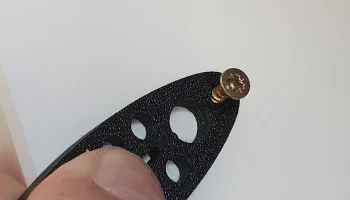Nail Fish 1